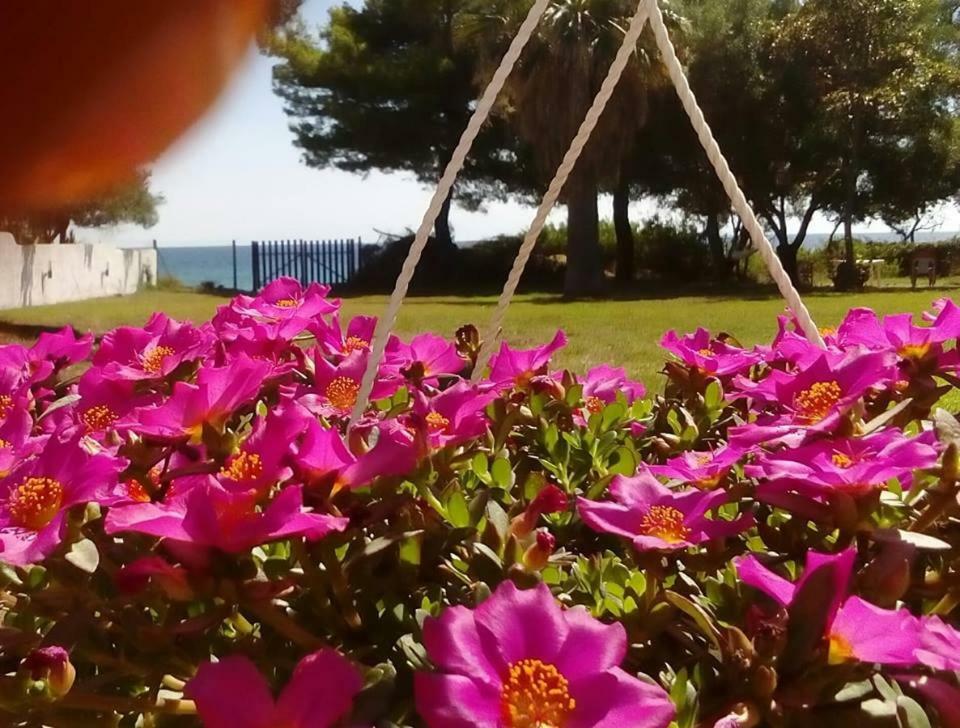 Seafront Villa Joan Néa Skióni Eksteriør bilde